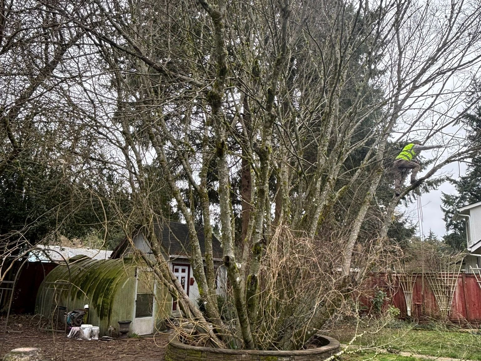 AJ Landscaping LLC - Project