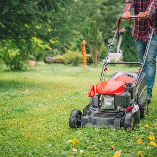 Lawn Care